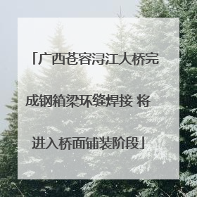 广西苍容浔江大桥完成钢箱梁环缝焊接 将进入桥面铺装阶段