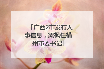 广西2市发布人事信息，梁枫任横州市委书记