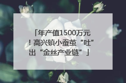 年产值1500万元！高兴镇小蚕茧“吐”出“金丝产业链”