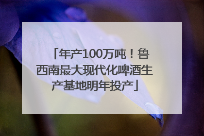 年产100万吨！鲁西南最大现代化啤酒生产基地明年投产