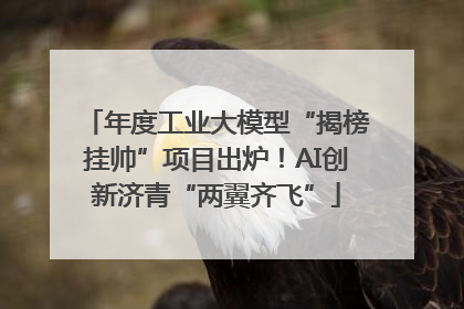 年度工业大模型“揭榜挂帅”项目出炉！AI创新济青“两翼齐飞”