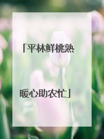 平林鲜桃熟 暖心助农忙