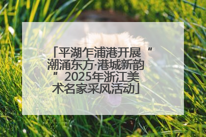 平湖乍浦港开展“潮涌东方·港城新韵”2025年浙江美术名家采风活动
