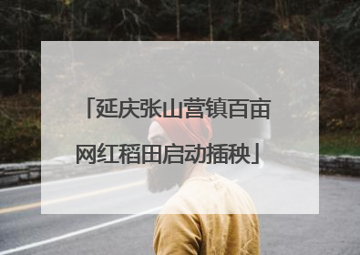 延庆张山营镇百亩网红稻田启动插秧
