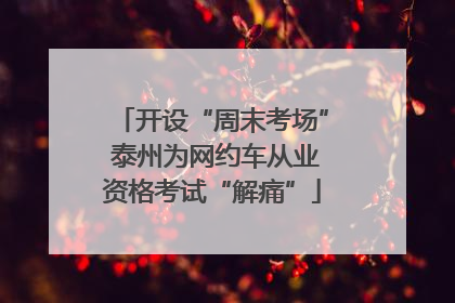 开设“周末考场” 泰州为网约车从业资格考试“解痛”
