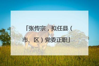 张传宗，拟任县（市、区）党委正职