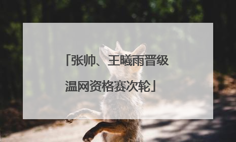 张帅、王曦雨晋级温网资格赛次轮