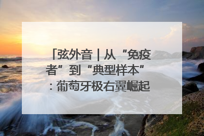 弦外音｜从“免疫者”到“典型样本”：葡萄牙极右翼崛起背后的欧洲困局