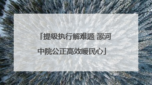 提级执行解难题 漯河中院公正高效暖民心
