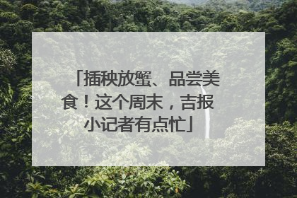插秧放蟹、品尝美食！这个周末，吉报小记者有点忙