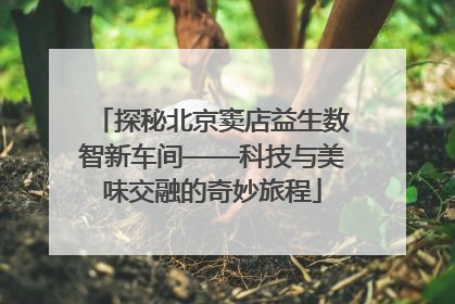 探秘北京窦店益生数智新车间——科技与美味交融的奇妙旅程
