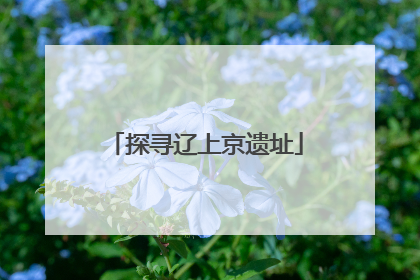 探寻辽上京遗址