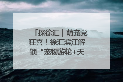 探徐汇｜萌宠党狂喜！徐汇滨江解锁“宠物游轮+天台乐园”双玩法