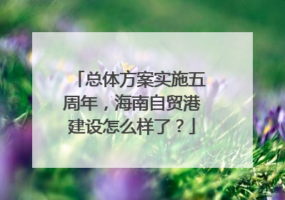 总体方案实施五周年，海南自贸港建设怎么样了？