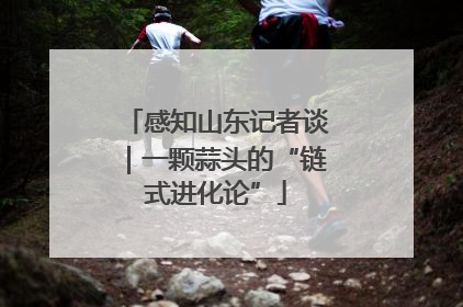 感知山东记者谈｜一颗蒜头的“链式进化论”
