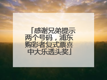 感谢兄弟提示两个号码，浦东购彩者复式票喜中大乐透头奖
