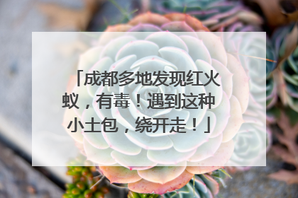 成都多地发现红火蚁，有毒！遇到这种小土包，绕开走！