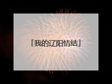 我的辽阳情结