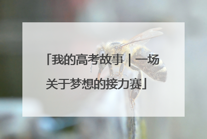 我的高考故事｜一场关于梦想的接力赛