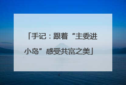 手记：跟着“主委进小岛”感受共富之美