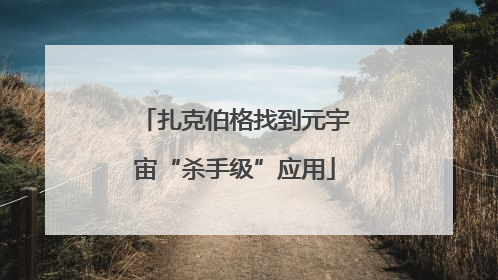 扎克伯格找到元宇宙“杀手级”应用