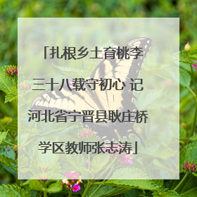 扎根乡土育桃李 三十八载守初心 记河北省宁晋县耿庄桥学区教师张志涛