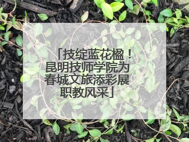 技绽蓝花楹！昆明技师学院为春城文旅添彩展职教风采