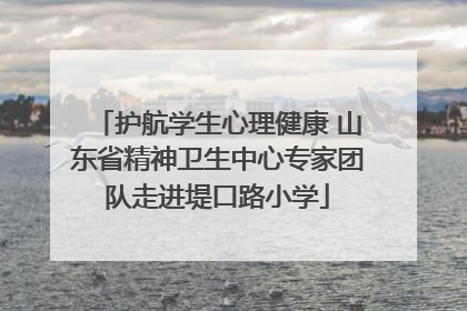护航学生心理健康 山东省精神卫生中心专家团队走进堤口路小学