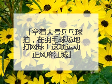 拿着大号乒乓球拍，在羽毛球场地打网球！这项运动正风靡江城