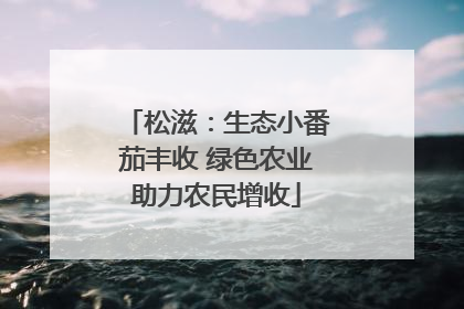 松滋：生态小番茄丰收 绿色农业助力农民增收