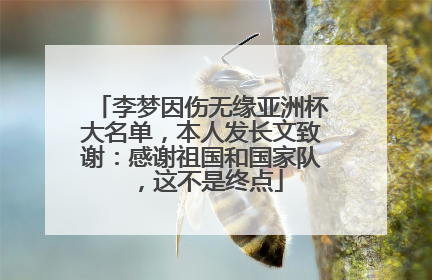 李梦因伤无缘亚洲杯大名单，本人发长文致谢：感谢祖国和国家队，这不是终点