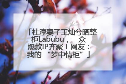 杜淳妻子王灿兮晒整柜Labubu，一众爆款IP齐聚！网友：我的 “梦中情柜”