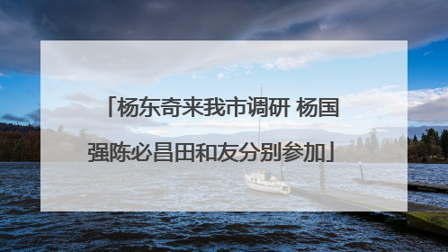 杨东奇来我市调研 杨国强陈必昌田和友分别参加