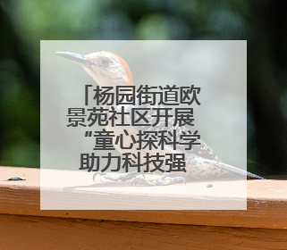杨园街道欧景苑社区开展“童心探科学 助力科技强国梦”科技周活动
