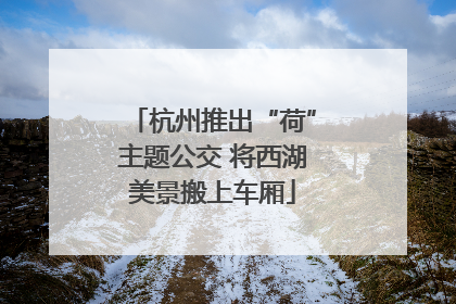 杭州推出“荷”主题公交 将西湖美景搬上车厢