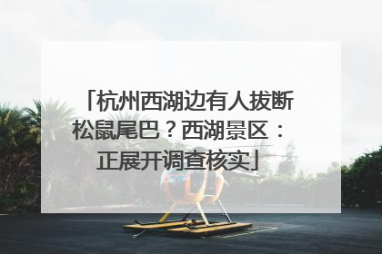 杭州西湖边有人拔断松鼠尾巴？西湖景区：正展开调查核实