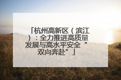 杭州高新区（滨江）：全力推进高质量发展与高水平安全“双向奔赴”