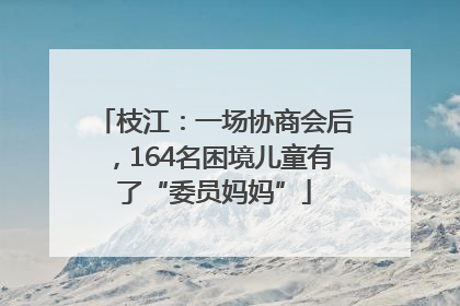 枝江：一场协商会后，164名困境儿童有了“委员妈妈”