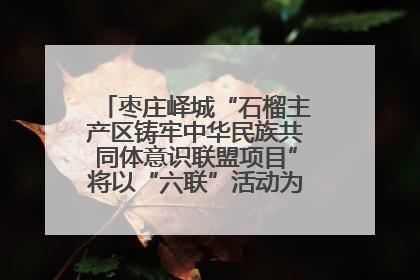 枣庄峄城“石榴主产区铸牢中华民族共同体意识联盟项目”将以“六联”活动为抓手深化品牌建设