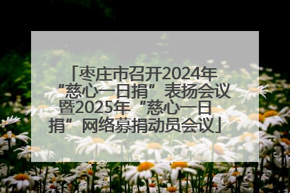 枣庄市召开2024年“慈心一日捐”表扬会议暨2025年“慈心一日捐”网络募捐动员会议