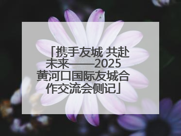 携手友城 共赴未来——2025黄河口国际友城合作交流会侧记