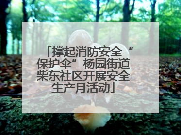 撑起消防安全“保护伞”杨园街道柴东社区开展安全生产月活动