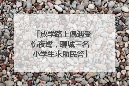 放学路上偶遇受伤夜鹭，聊城三名小学生求助民警