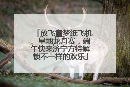 放飞童梦纸飞机、旱地龙舟赛，端午快来济宁方特解锁不一样的欢乐