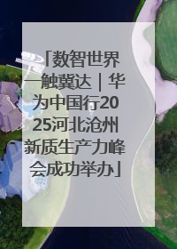 数智世界 一触冀达｜华为中国行2025河北沧州新质生产力峰会成功举办