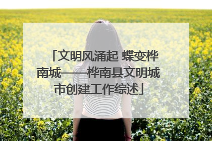 文明风涌起 蝶变桦南城——桦南县文明城市创建工作综述