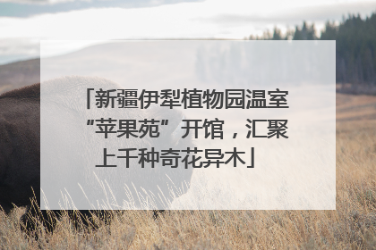 新疆伊犁植物园温室“苹果苑”开馆，汇聚上千种奇花异木