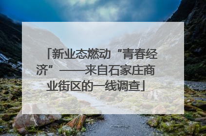新业态燃动“青春经济”——来自石家庄商业街区的一线调查