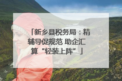 新乡县税务局：精辅导促规范 助企汇算“轻装上阵”