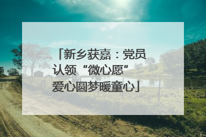 新乡获嘉：党员认领“微心愿” 爱心圆梦暖童心